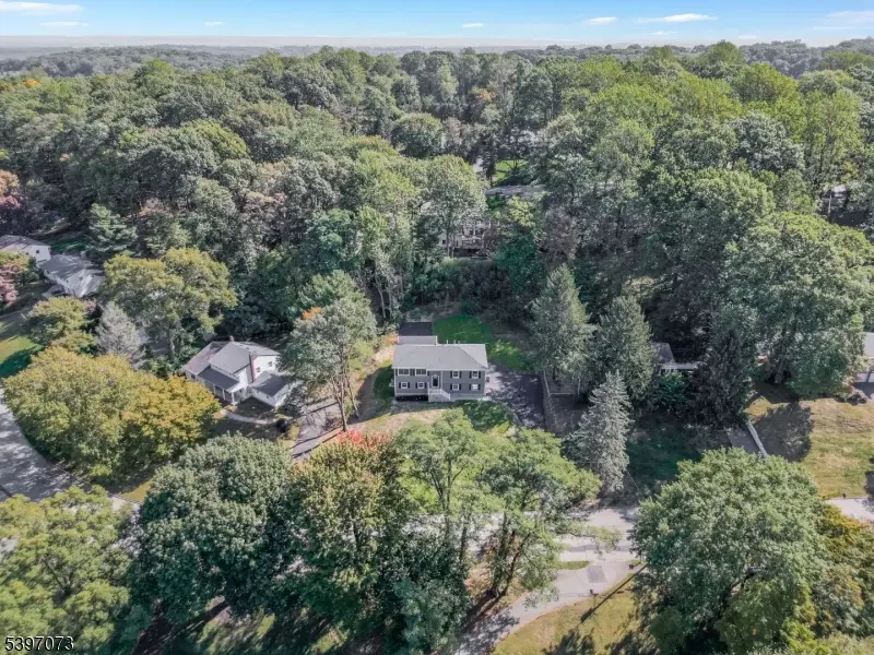 9 Dorothy Dr, Morris, NJ 07960 - Image #1