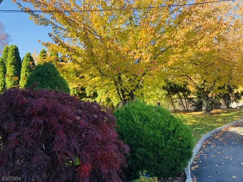 159 Ball Ave, Parsippany, NJ 07054 - Image #3