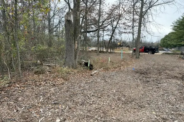 8 Reasoner Ln, Flemington Boro, NJ 08822