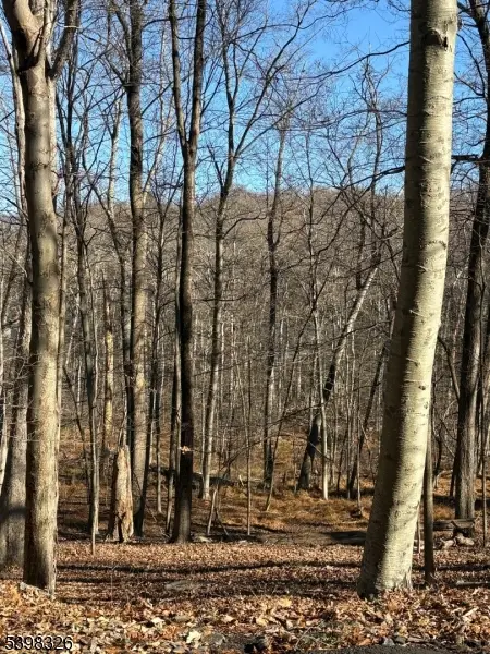 2 Kent Brook Ter, Kinnelon, NJ 07405 - Image #1