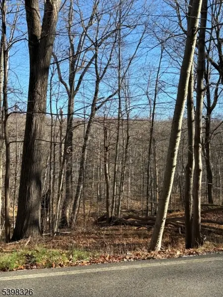 2 Kent Brook Ter, Kinnelon, NJ 07405 - Image #2