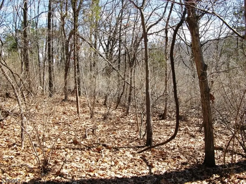 1313 State Route 57, Phillipsburg, NJ 07865 - Image #2