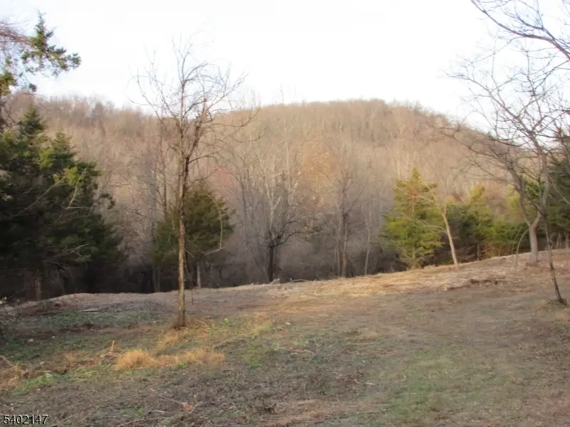 00 Clark Road, Wantage, NJ 07461 - #3