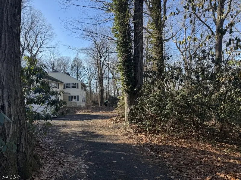 6 Dogwood Way, Basking Ridge, NJ 07920 - Image #2