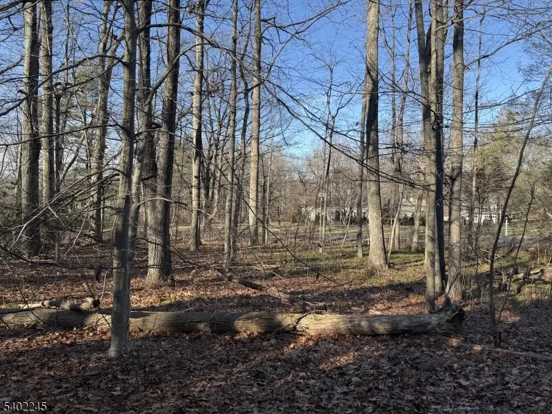 6 Dogwood Way, Basking Ridge, NJ 07920 - Image #3