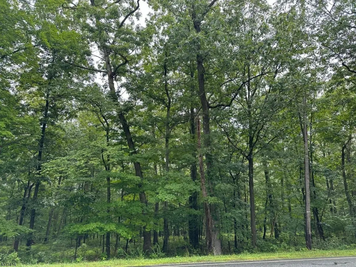 220 Mattison Reservoir Ave, Frankford, NJ 07826 - Image #1