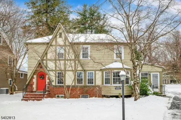 247 Hillside Ave, Chatham Boro, NJ 07928