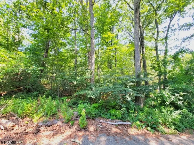 0 Kresson Rd, Upper Greenwood Lake, NJ 07421 - #3