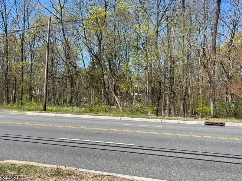 212 Rt 46, Budd Lake, NJ 07828 - Image #1