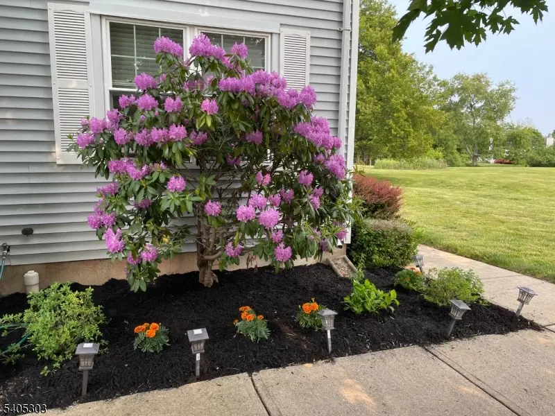 10 Apache Way, Branchburg, NJ 08876 - Image #3