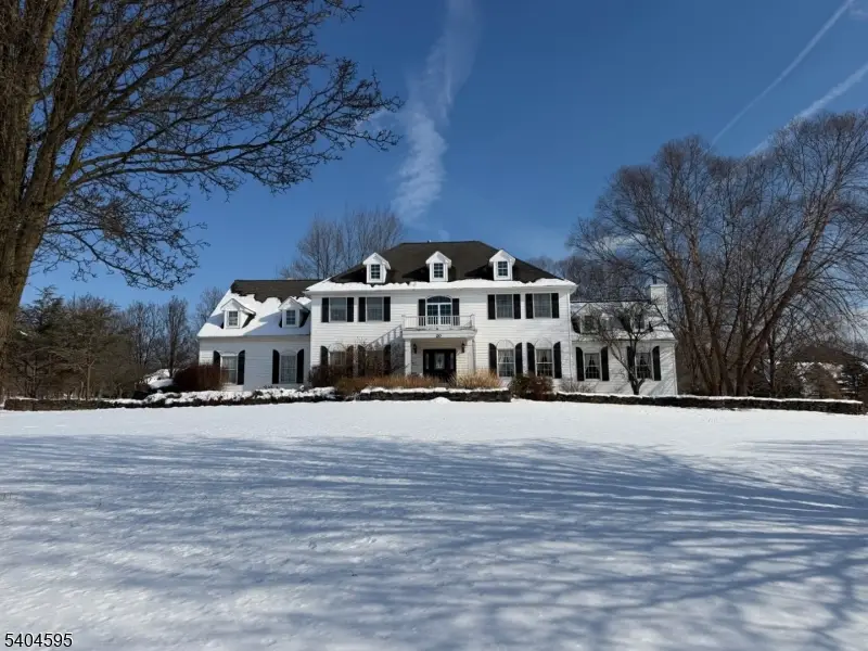 20 Northwood Dr, Pittstown, NJ 08867 - Image #1