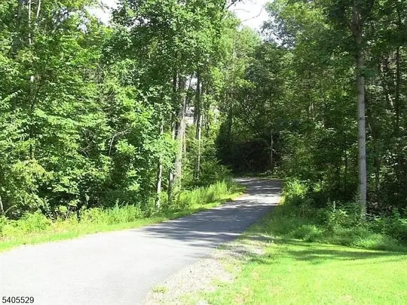 8 Cub Lake Rd, Byram Township, NJ 07821 - Image #2