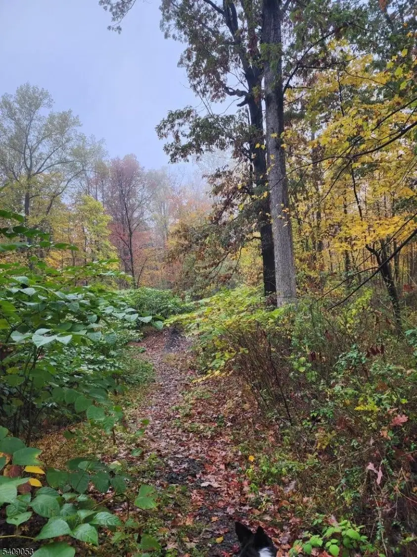 54 Ridge Road, East Amwell Township, NJ 08525 - #2