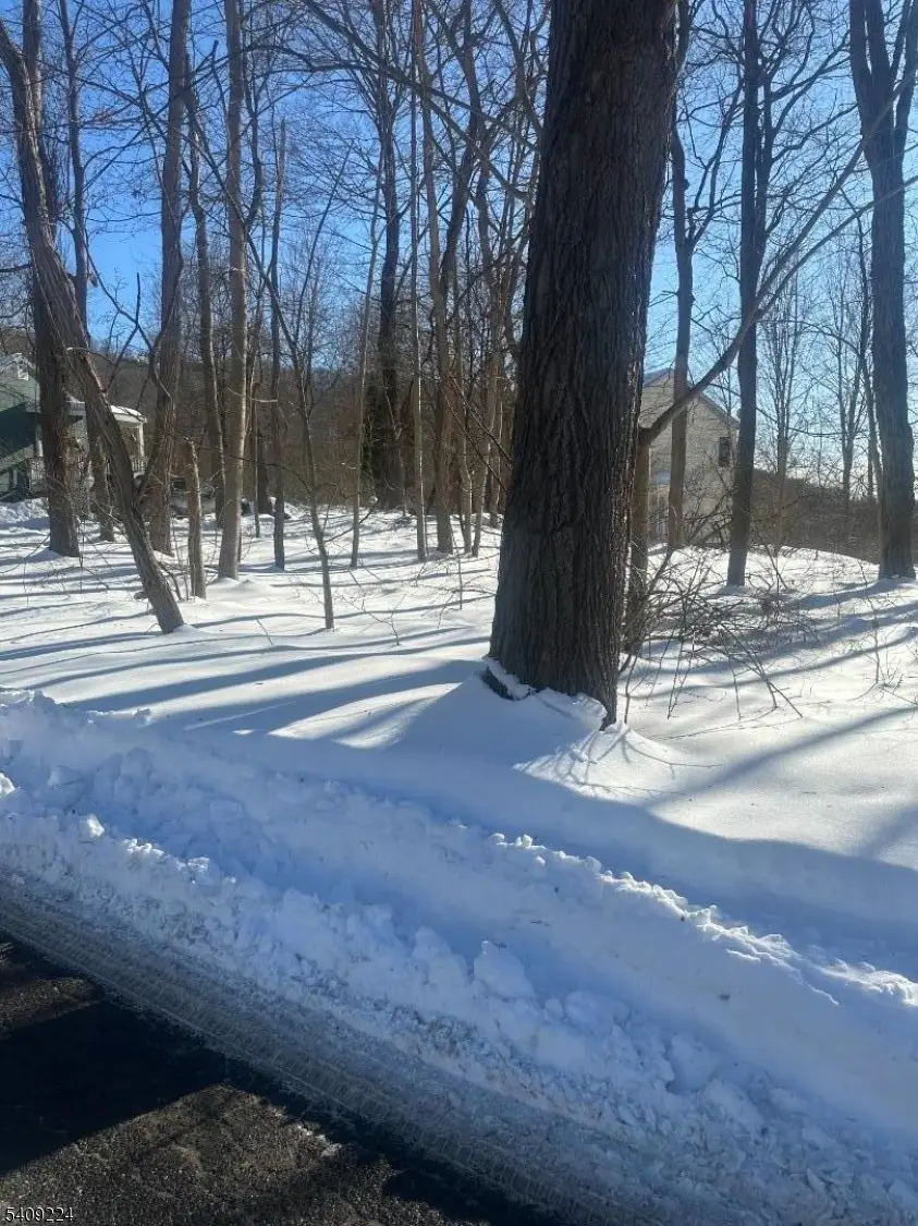 2 Pine Dr, Mountain Lake, NJ 07823 - #1