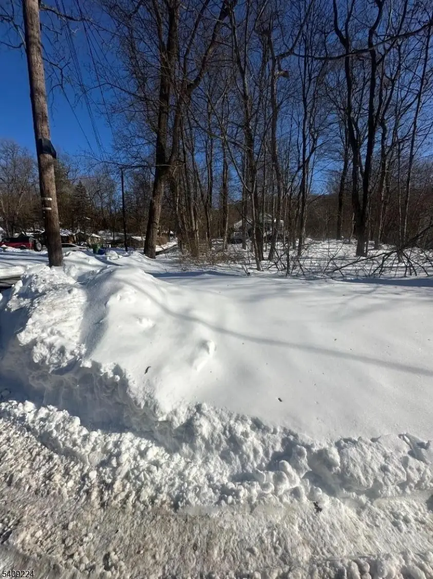 2 Pine Dr, Mountain Lake, NJ 07823 - #3