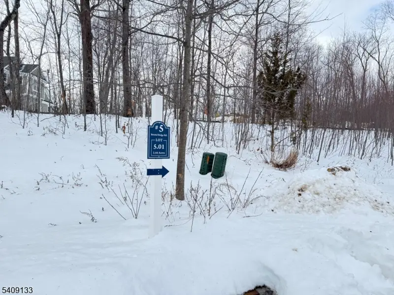 5 Bristol Ridge Rd, Boonton, NJ 07005 - #2