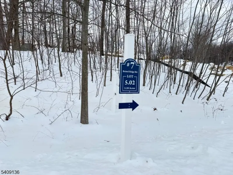 7 Bristol Ridge Rd, Boonton, NJ 07005 - #2