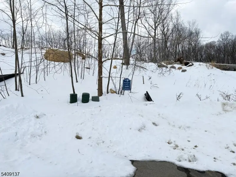 9 Bristol Ridge Rd, Boonton, NJ 07005 - #2