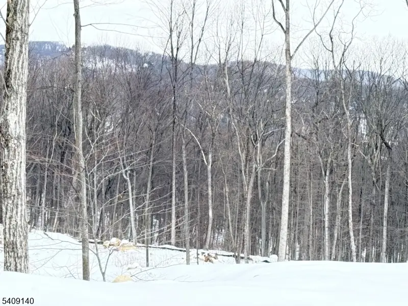 8 Bristol Ridge Rd, Boonton, NJ 07005 - #2