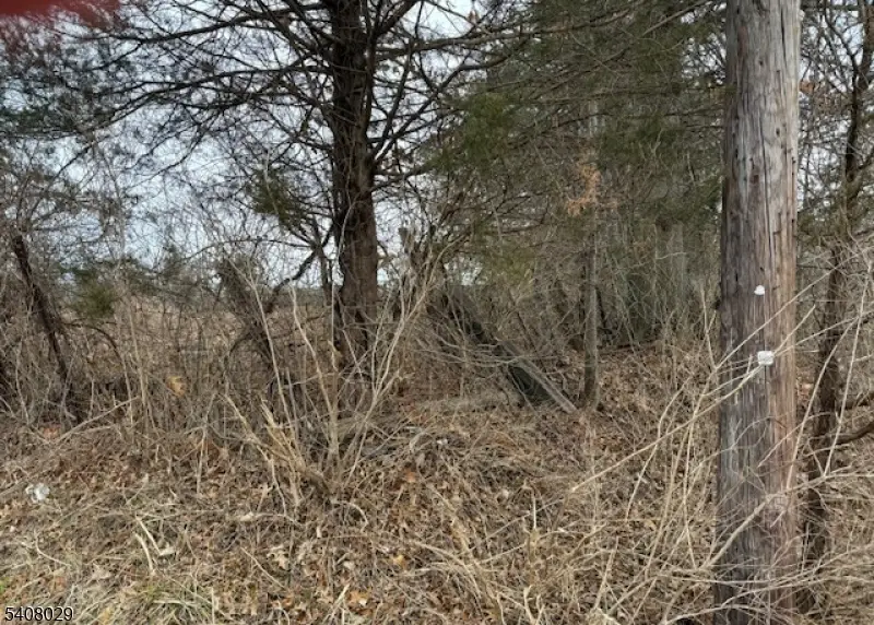 23 Coddington Road, Whitehouse Station, NJ 08889 - #1