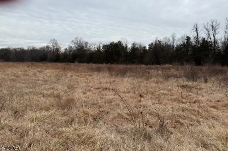 23 Coddington Road, Whitehouse Station, NJ 08889 - #3