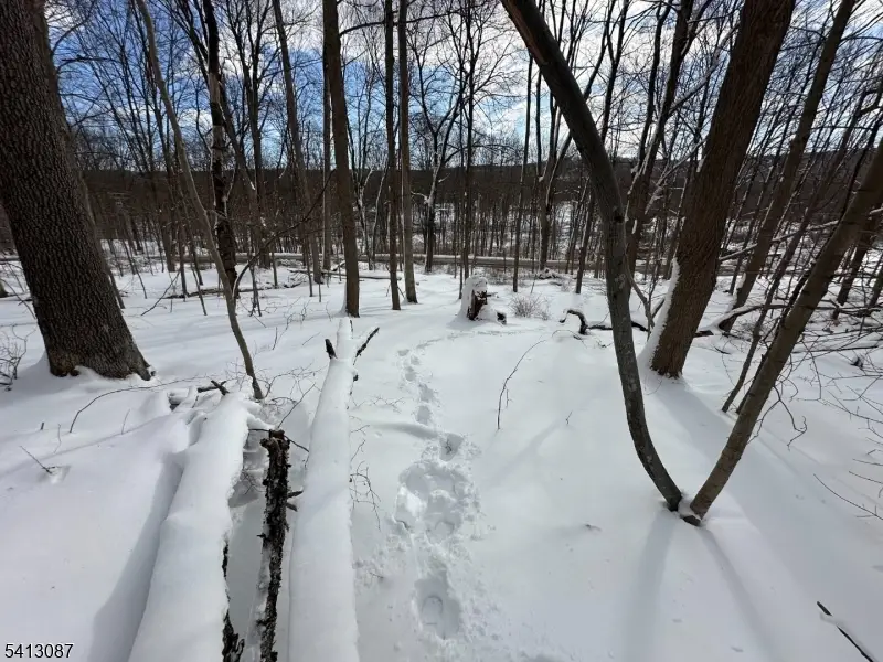 558 Stanhope Rd, Lake Mohawk, NJ 07871 - #2