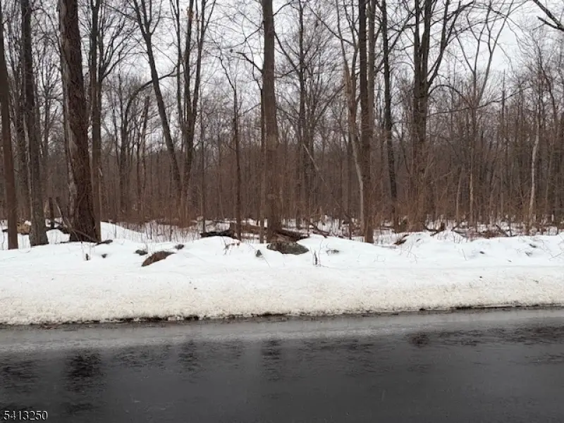 0 Schoolhouse Rd, Oak Ridge, NJ 07438 - #2