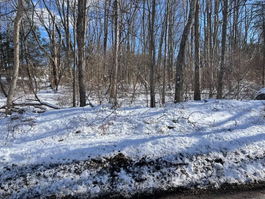 0 Potters Rd, Stillwater, NJ 07860 - #2