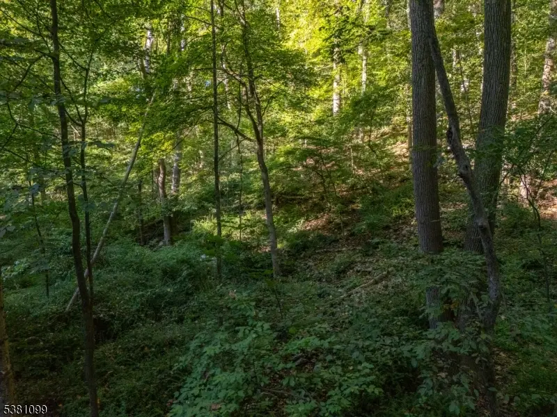 00 Sweet Hollow Road, Holland, NJ 08848 - #1