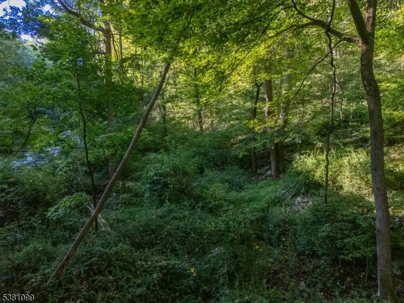 00 Sweet Hollow Road, Holland, NJ 08848 - #2