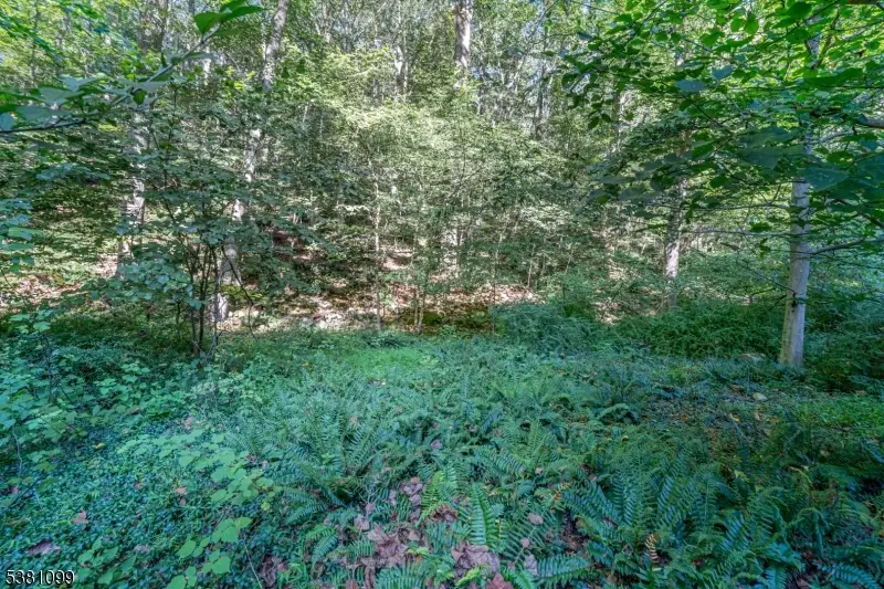 00 Sweet Hollow Road, Holland, NJ 08848 - #3