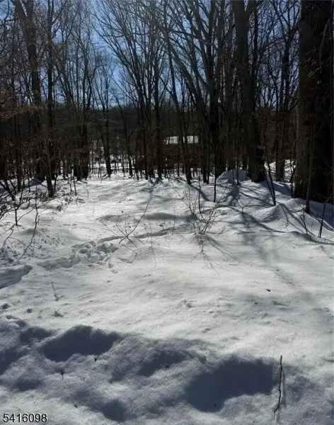 15 Saw Mill Rd, Kinnelon, NJ 07405 - #3