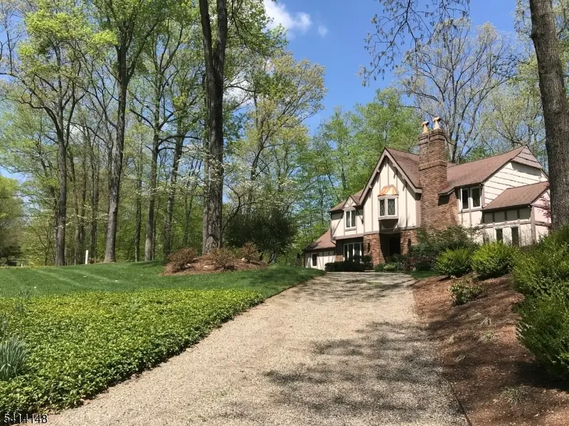 2 Forest View Dr, Chester, NJ 07930 - #2