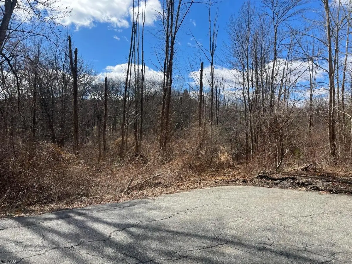 221 Old Center Grove Rd, Randolph, NJ 07869 - #1