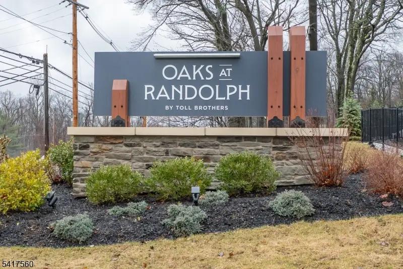 18 Flower Horn Blvd, Randolph, NJ 07869 - #1