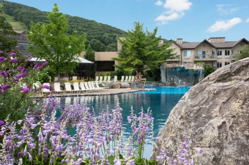 2 Chamonix Dr #333, Vernon Center, NJ 07462 - #1