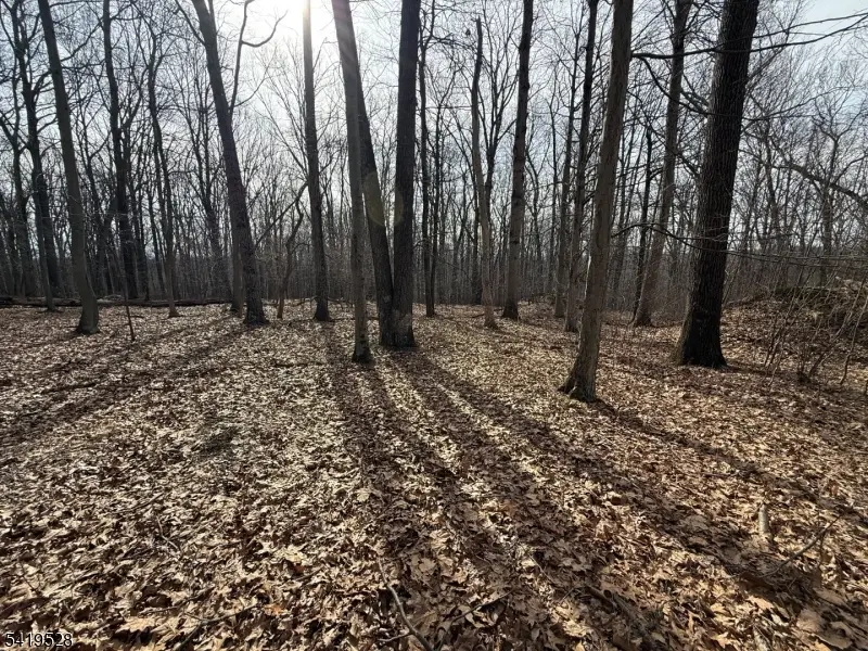 164 North Rd, Chester, NJ 07930 - #1