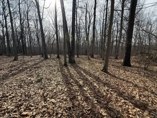 164 North Rd, Chester Twp., NJ 07930