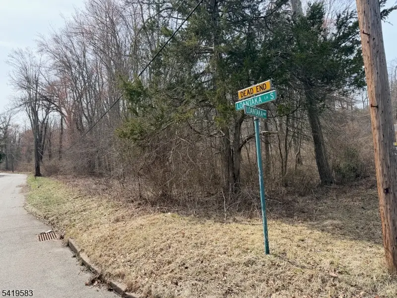 10 Loantaka Ln, Green Village, NJ 07928 - #1