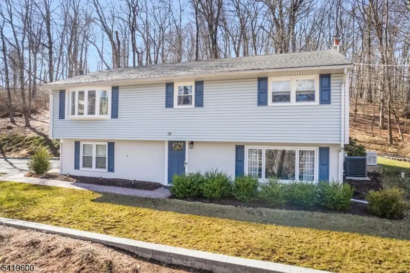 10 Ironia Rd, Mendham, NJ 07945 - #2