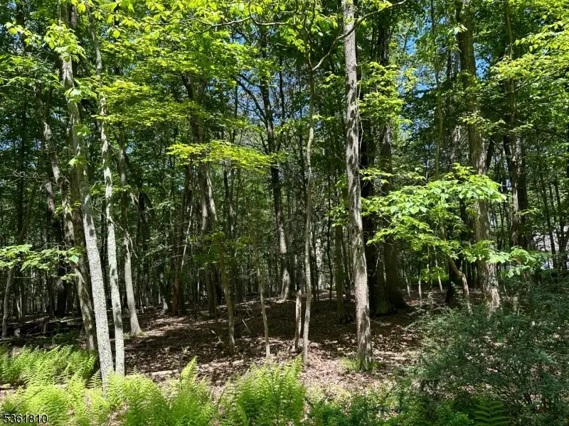 0 Devita Rd, Sandyston, NJ 07826 - #3