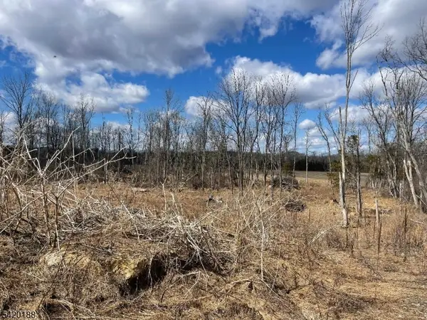 83 Creek Rd, Green Twp., NJ 07821