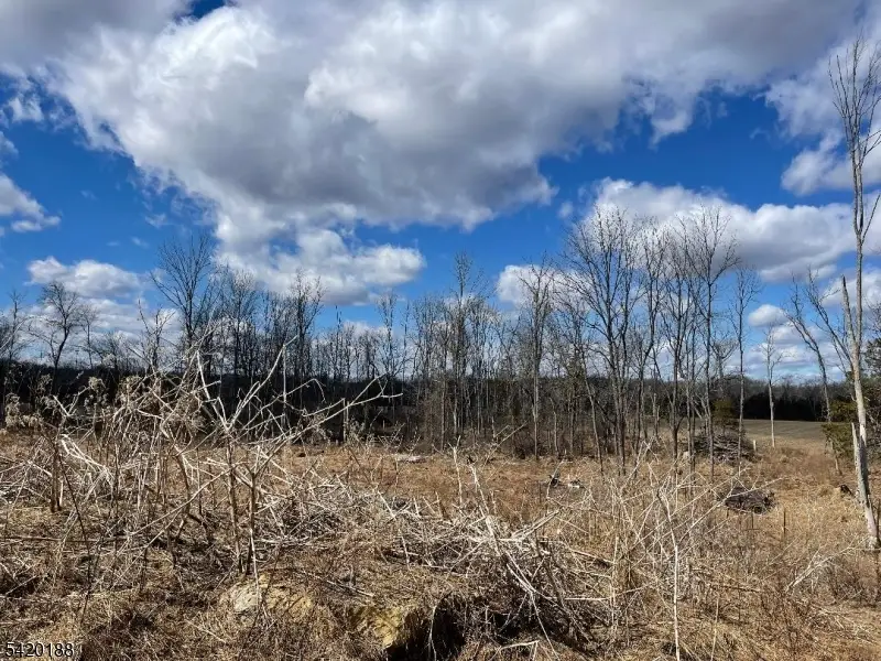 83 Creek Rd, Green, NJ 07821 - #2