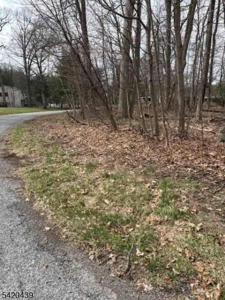 3 Wood Dale Court, Vernon, NJ 07461 - #1