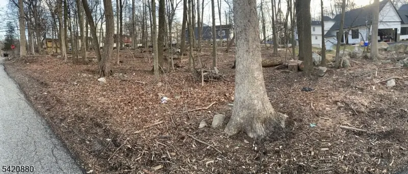 48 Mountain Rd, Hopatcong, NJ 07843 - #1