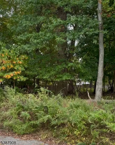 00 Oakwood Ave, Pequannock, NJ 07440 - #1