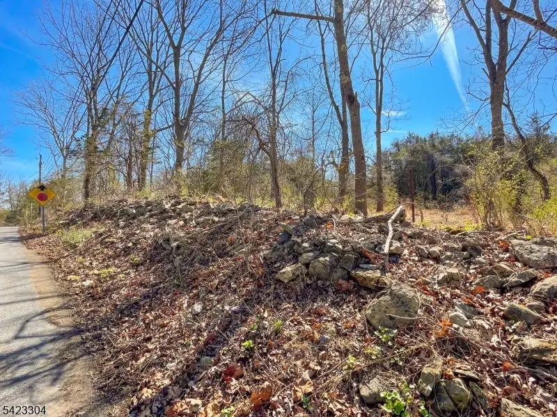 569 Ervey Rd, Allamuchy, NJ 07821 - #3