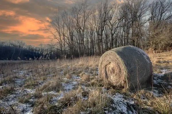 11 Logan Dr, Tewksbury Twp., NJ 07830