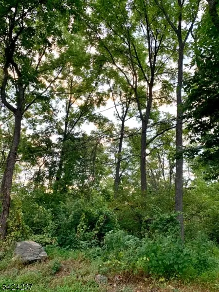 00 W Valley Brook Rd, Washington Twp., NJ 07830