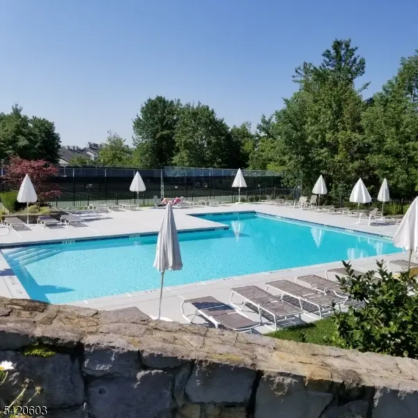 16 Dunbar Court, The Hills, NJ 07921 - #1